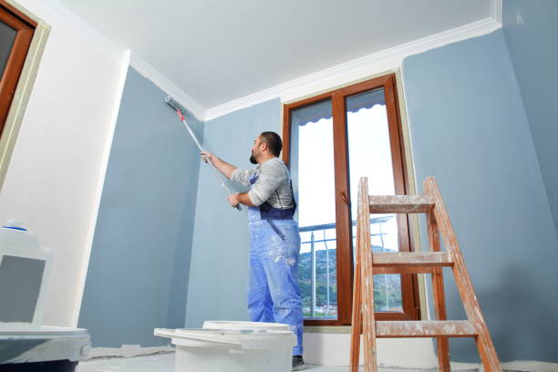 Best Mold Odor Removal Services  in , TN