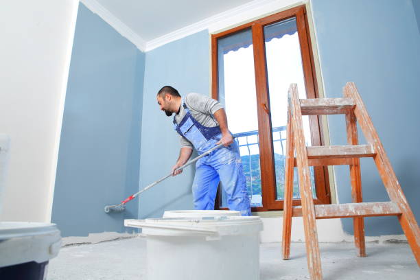  , TN Mold Removal Pros