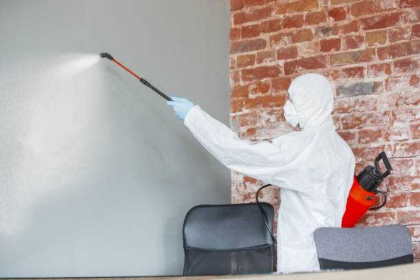 Best Forensic Mold Investigation  in , TN