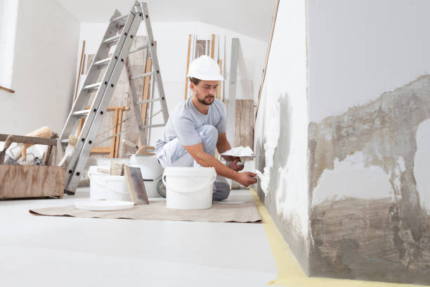 Best Residential Mold Inspection & Testing  in , TN
