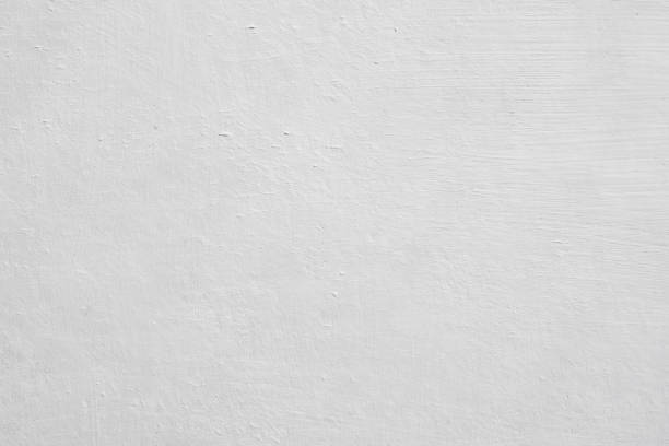 Best Mold-Related Health Consultation  in , TN