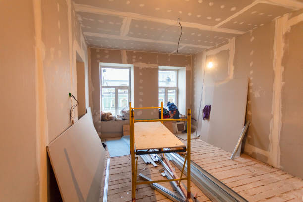 Best Black Mold Removal  in , TN